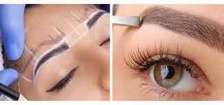 upload/alan2/sac_ekm/kas_ekim.jpg
